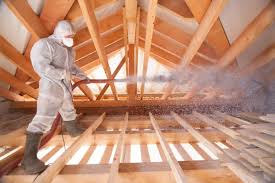 Professional Insulation Services in Leesburg, FL