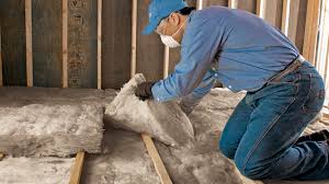 Best Insulation Air Sealing  in Leesburg, FL