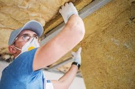 Best Attic Insulation Installation  in Leesburg, FL