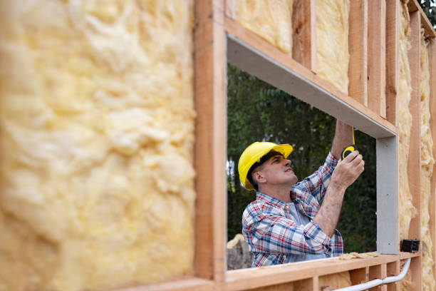 Best Attic Insulation Installation  in Leesburg, FL