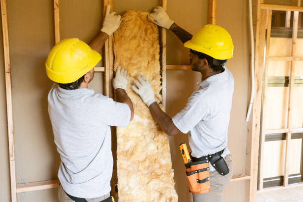 Eco-Friendly or Green Insulation Solutions in Leesburg, FL