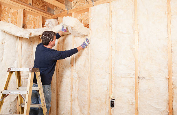 Types of Insulation We Offer in Leesburg, FL