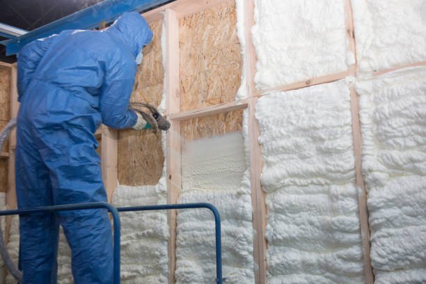 Best Pipe and Duct Insulation  in Leesburg, FL